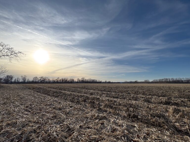 US-11481 Rainbow Beach WMA