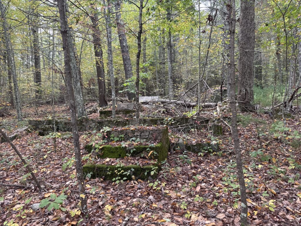 US-11552 Mt. Pisgah WMA (MA)