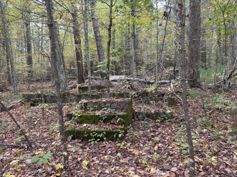 US-11552 Mt. Pisgah WMA (MA)