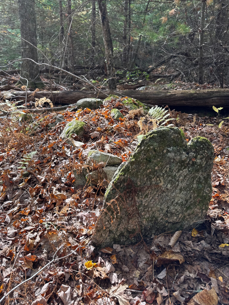 US-5482 Wickaboxet WMA (RI)