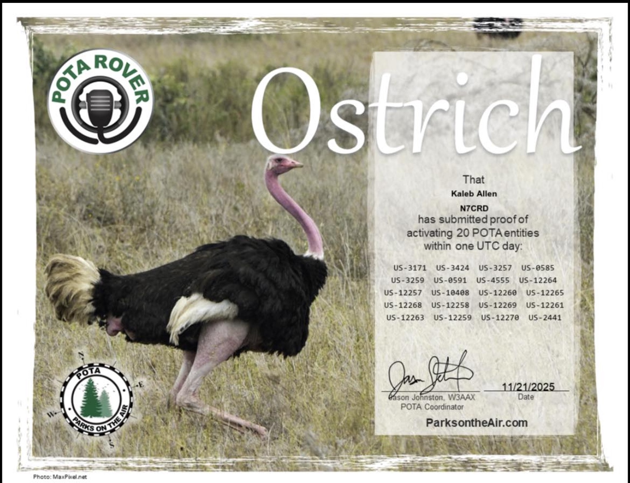 POTA Ostrich Award